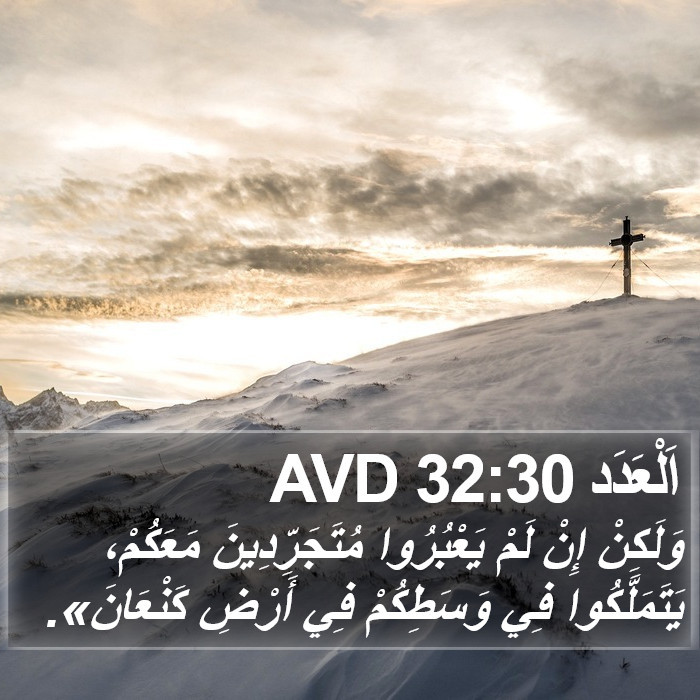 اَلْعَدَد 32:30 AVD Bible Study