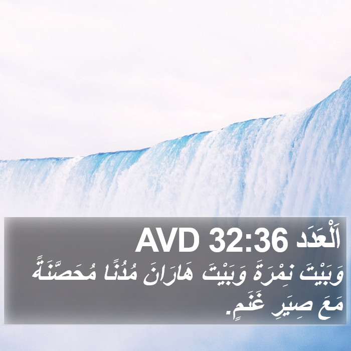 اَلْعَدَد 32:36 AVD Bible Study