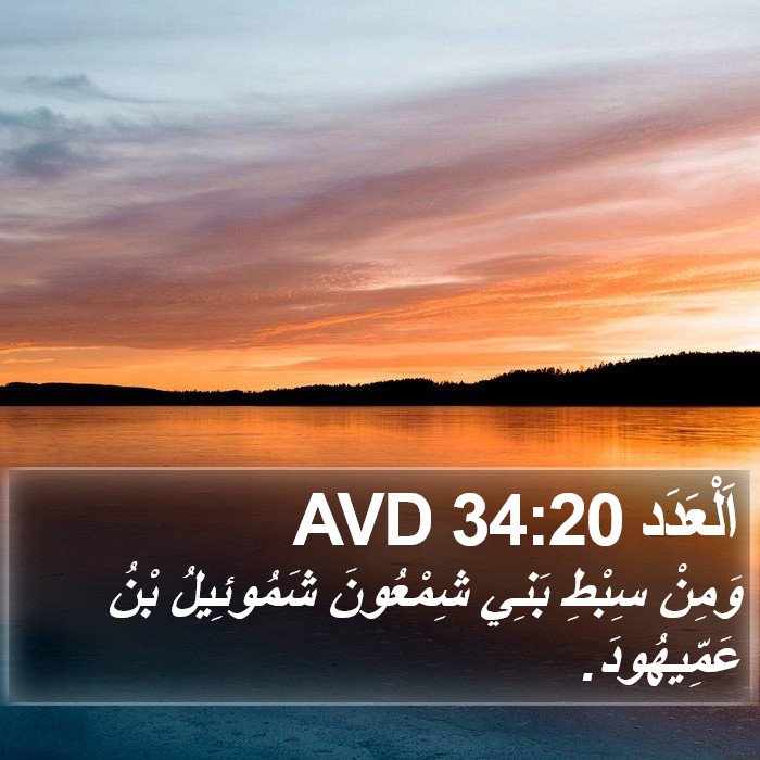 اَلْعَدَد 34:20 AVD Bible Study