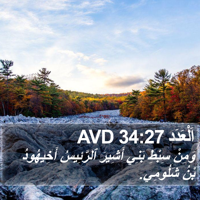 اَلْعَدَد 34:27 AVD Bible Study