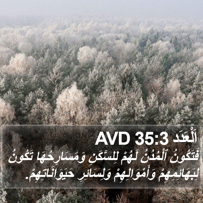 اَلْعَدَد 35:3 AVD Bible Study