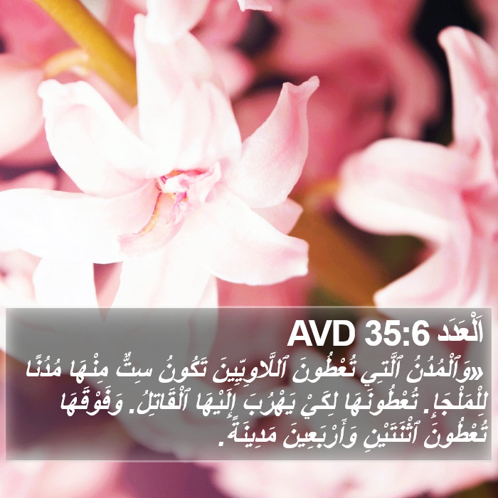 اَلْعَدَد 35:6 AVD Bible Study