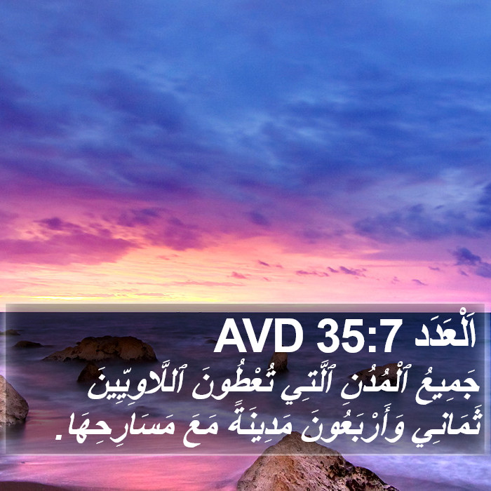 اَلْعَدَد 35:7 AVD Bible Study
