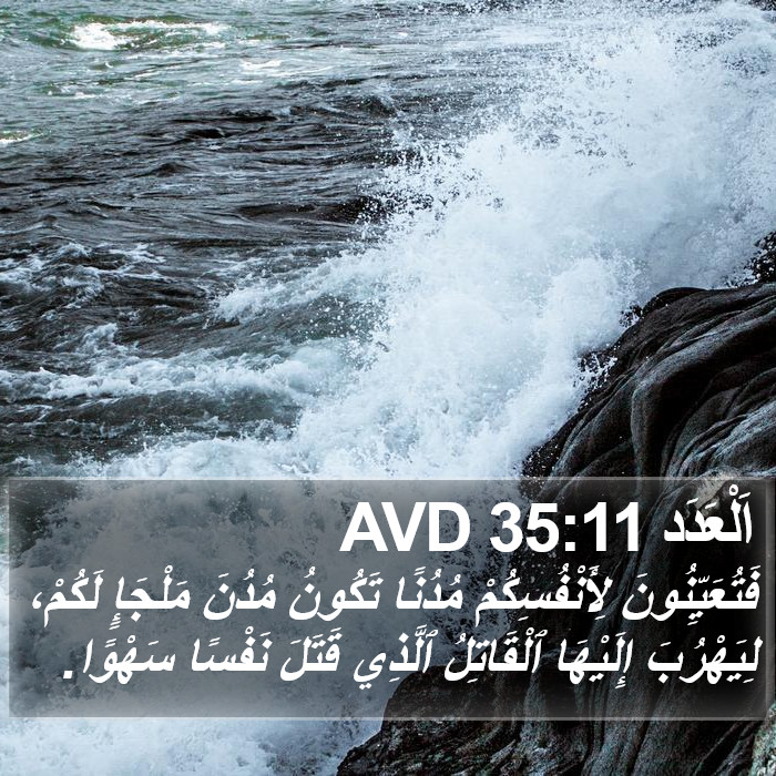 اَلْعَدَد 35:11 AVD Bible Study
