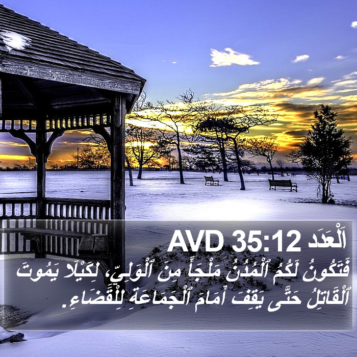 اَلْعَدَد 35:12 AVD Bible Study
