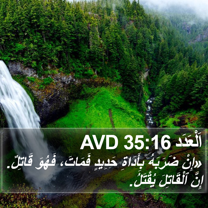 اَلْعَدَد 35:16 AVD Bible Study
