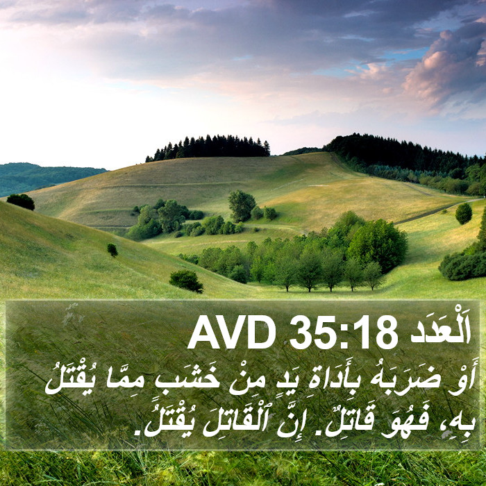 اَلْعَدَد 35:18 AVD Bible Study