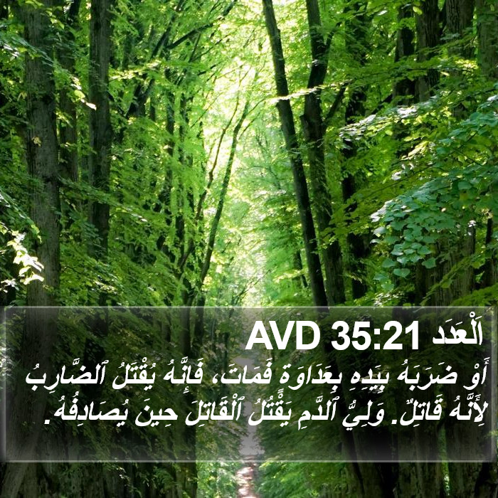 اَلْعَدَد 35:21 AVD Bible Study