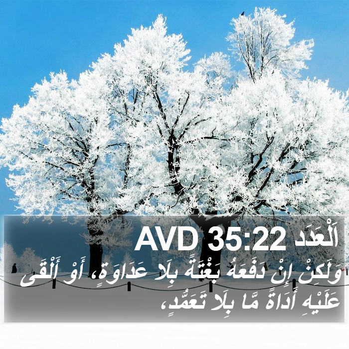 اَلْعَدَد 35:22 AVD Bible Study