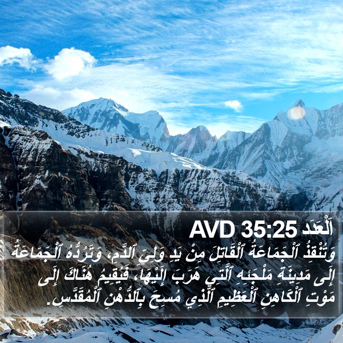اَلْعَدَد 35:25 AVD Bible Study