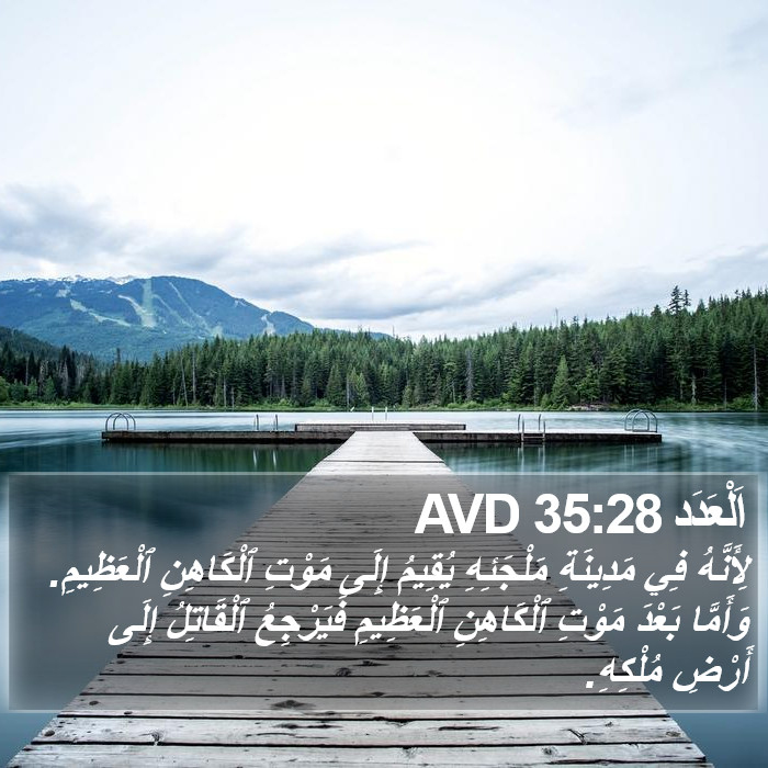 اَلْعَدَد 35:28 AVD Bible Study