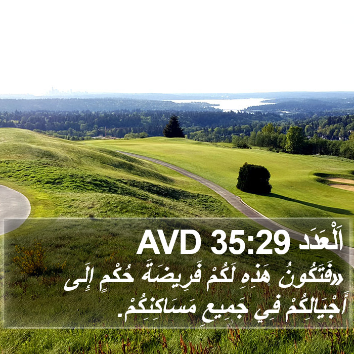 اَلْعَدَد 35:29 AVD Bible Study
