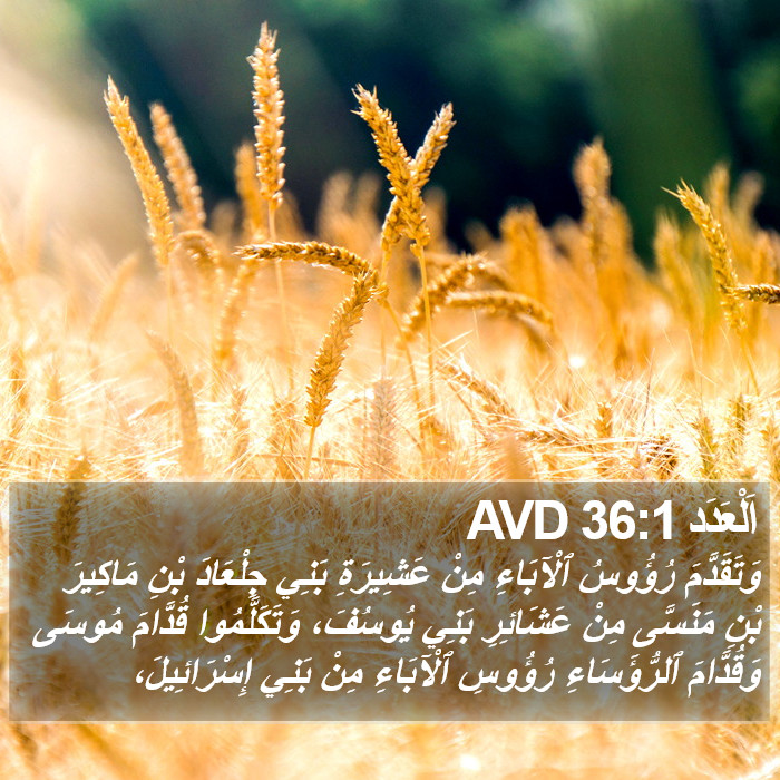 اَلْعَدَد 36:1 AVD Bible Study