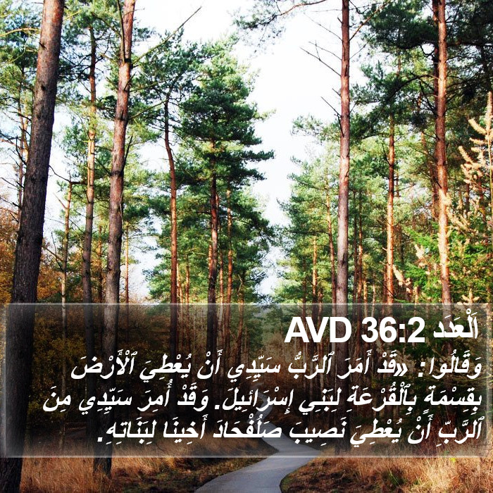 اَلْعَدَد 36:2 AVD Bible Study