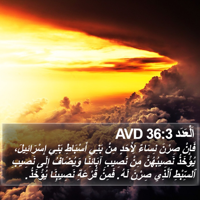 اَلْعَدَد 36:3 AVD Bible Study