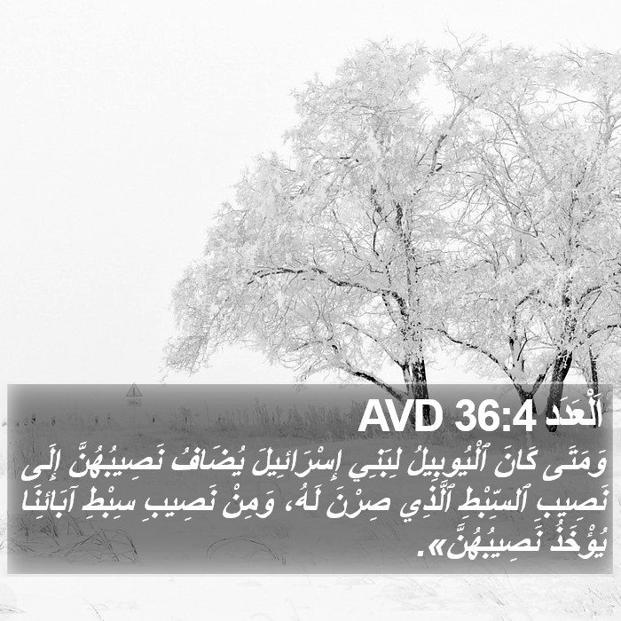 اَلْعَدَد 36:4 AVD Bible Study