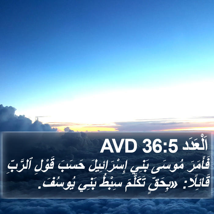 اَلْعَدَد 36:5 AVD Bible Study