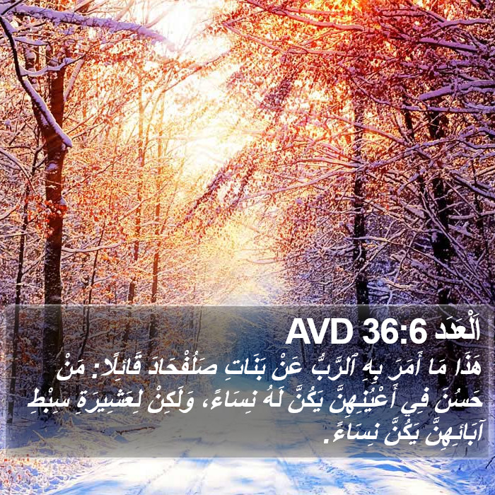 اَلْعَدَد 36:6 AVD Bible Study