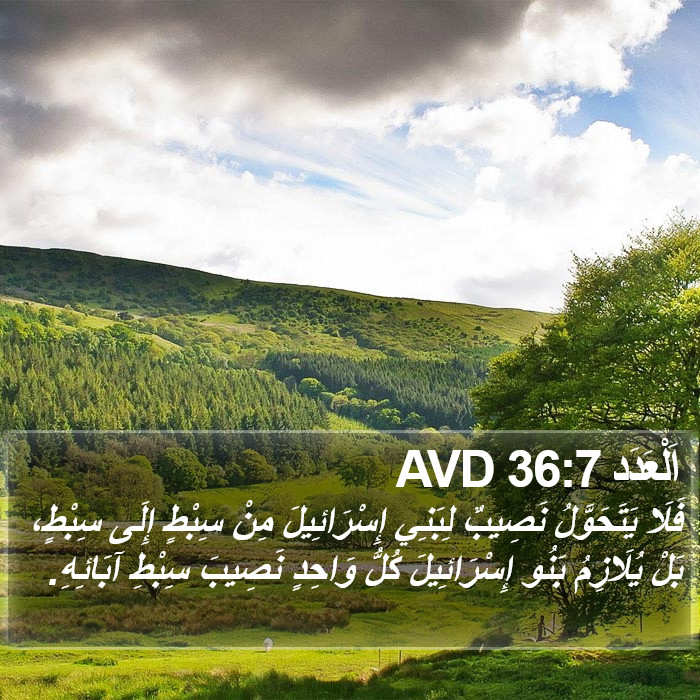 اَلْعَدَد 36:7 AVD Bible Study