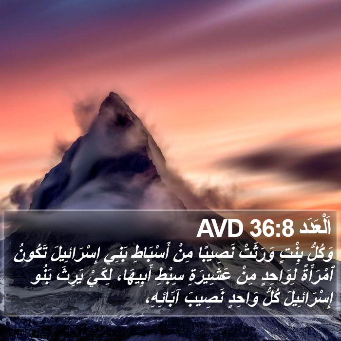 اَلْعَدَد 36:8 AVD Bible Study