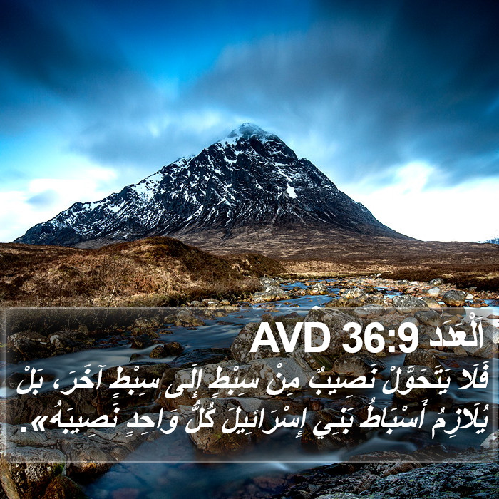 اَلْعَدَد 36:9 AVD Bible Study