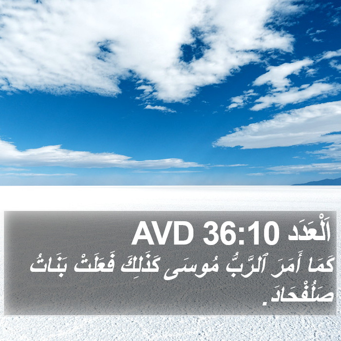 اَلْعَدَد 36:10 AVD Bible Study