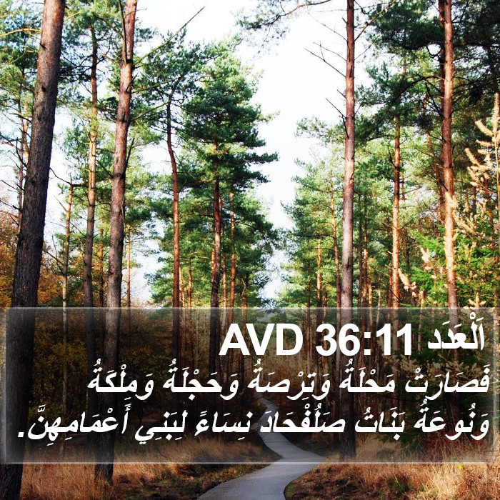 اَلْعَدَد 36:11 AVD Bible Study