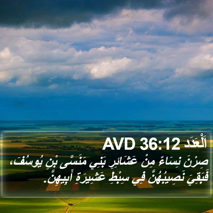 اَلْعَدَد 36:12 AVD Bible Study