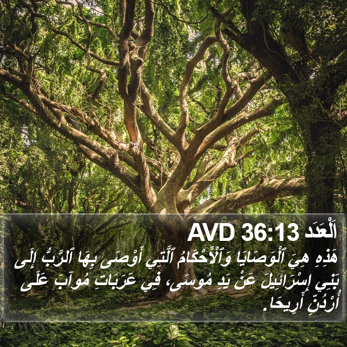 اَلْعَدَد 36:13 AVD Bible Study