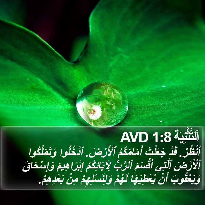 اَلتَّثْنِيَة 1:8 AVD Bible Study