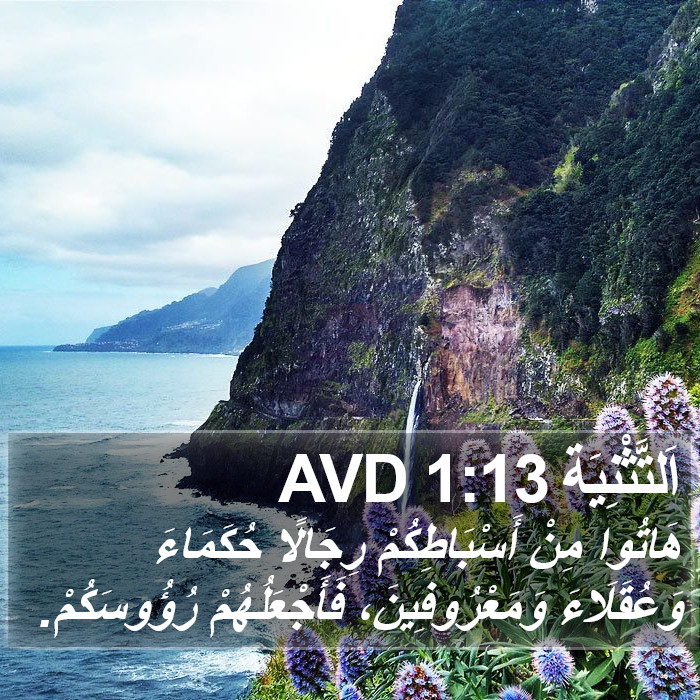 اَلتَّثْنِيَة 1:13 AVD Bible Study