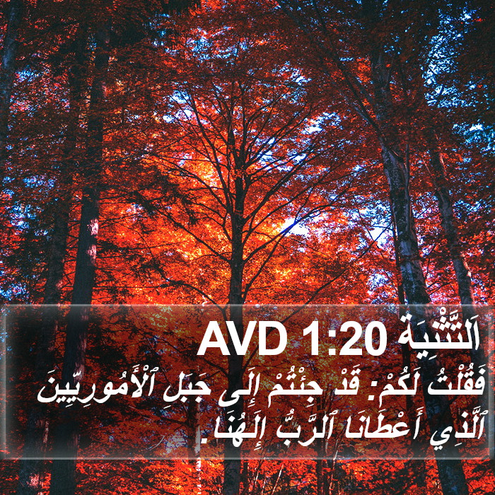 اَلتَّثْنِيَة 1:20 AVD Bible Study