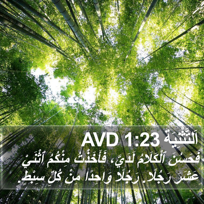 اَلتَّثْنِيَة 1:23 AVD Bible Study