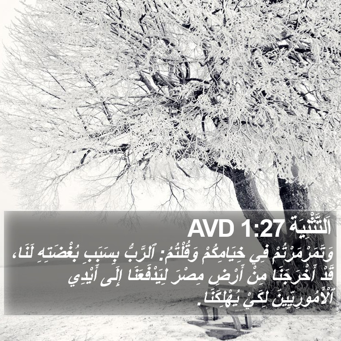 اَلتَّثْنِيَة 1:27 AVD Bible Study