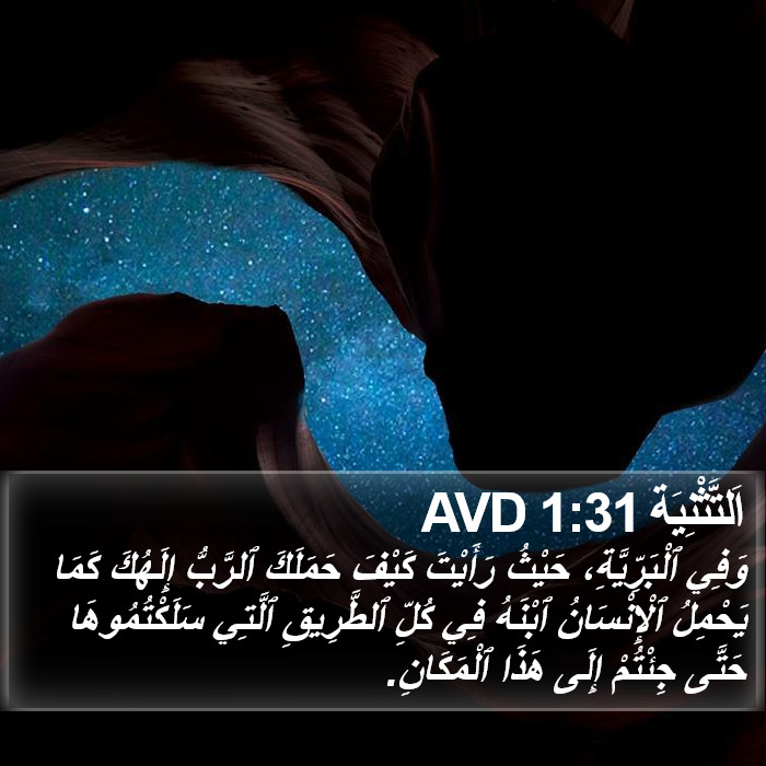 اَلتَّثْنِيَة 1:31 AVD Bible Study