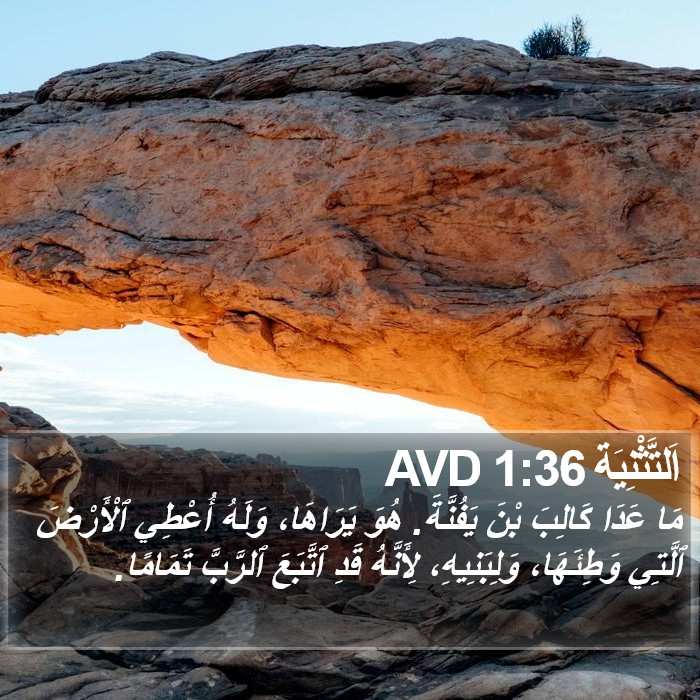 اَلتَّثْنِيَة 1:36 AVD Bible Study