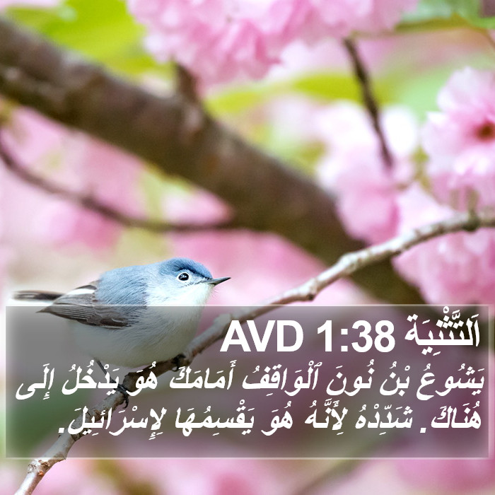 اَلتَّثْنِيَة 1:38 AVD Bible Study