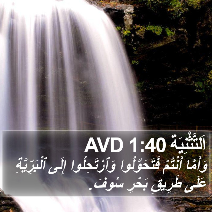 اَلتَّثْنِيَة 1:40 AVD Bible Study