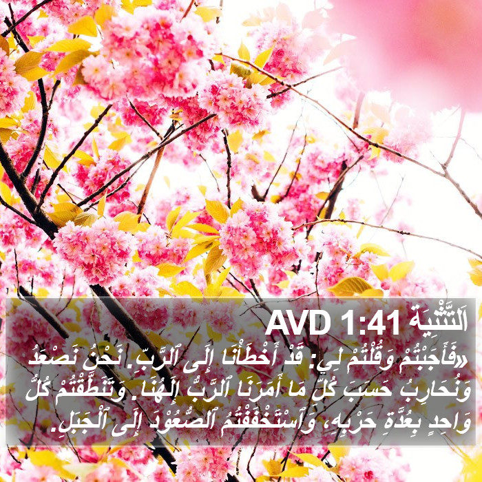 اَلتَّثْنِيَة 1:41 AVD Bible Study