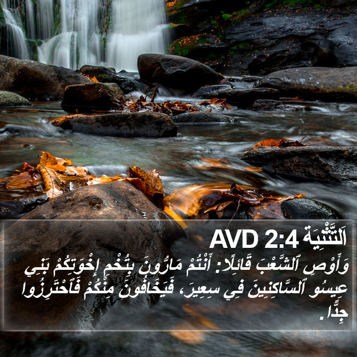 اَلتَّثْنِيَة 2:4 AVD Bible Study