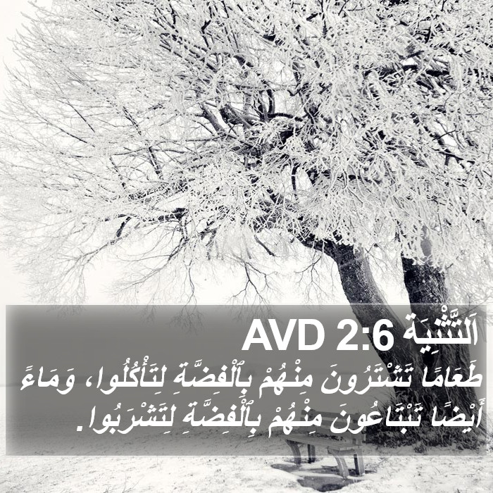 اَلتَّثْنِيَة 2:6 AVD Bible Study