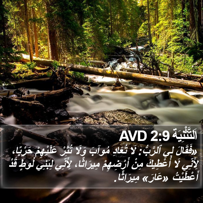 اَلتَّثْنِيَة 2:9 AVD Bible Study