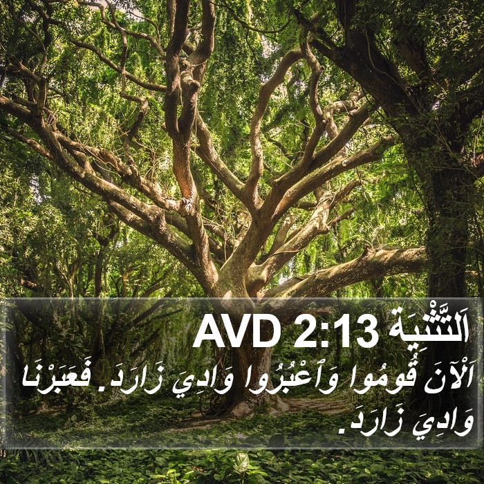 اَلتَّثْنِيَة 2:13 AVD Bible Study