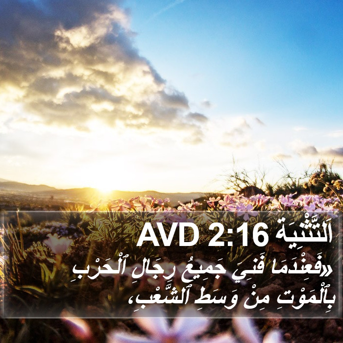 اَلتَّثْنِيَة 2:16 AVD Bible Study