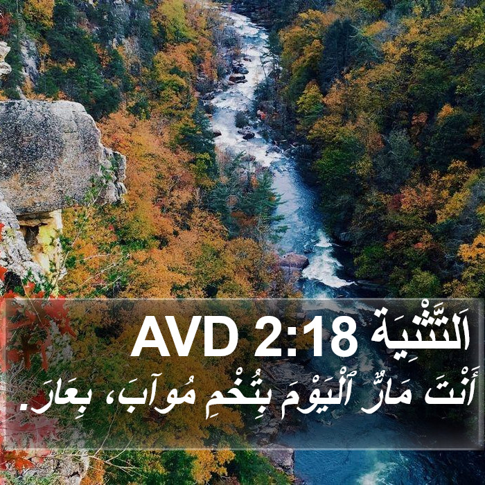 اَلتَّثْنِيَة 2:18 AVD Bible Study