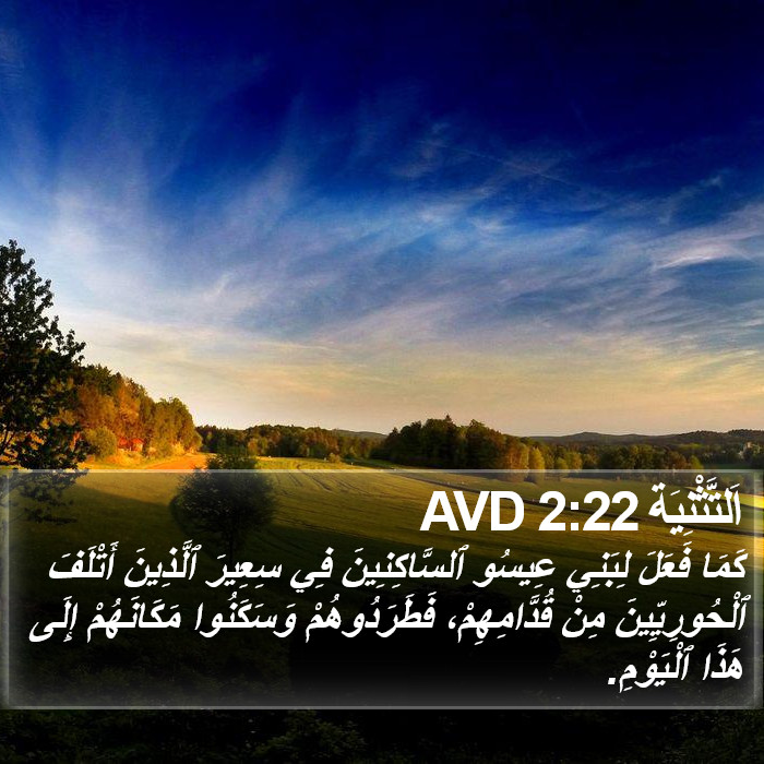 اَلتَّثْنِيَة 2:22 AVD Bible Study