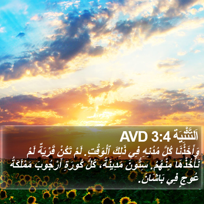 اَلتَّثْنِيَة 3:4 AVD Bible Study