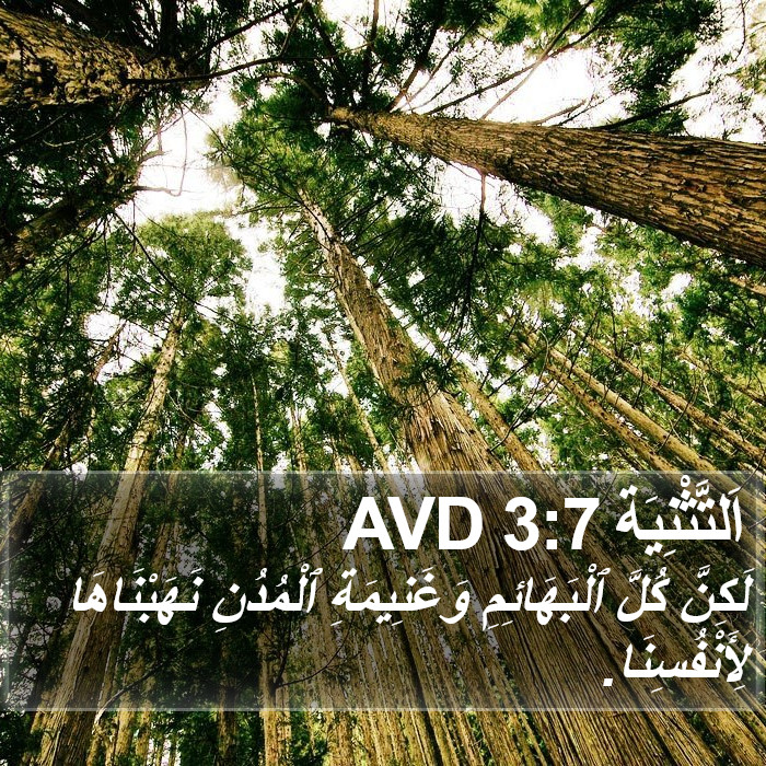 اَلتَّثْنِيَة 3:7 AVD Bible Study