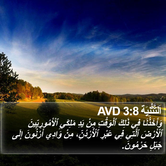 اَلتَّثْنِيَة 3:8 AVD Bible Study