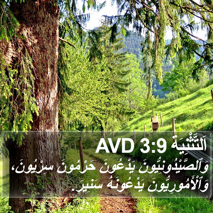 اَلتَّثْنِيَة 3:9 AVD Bible Study